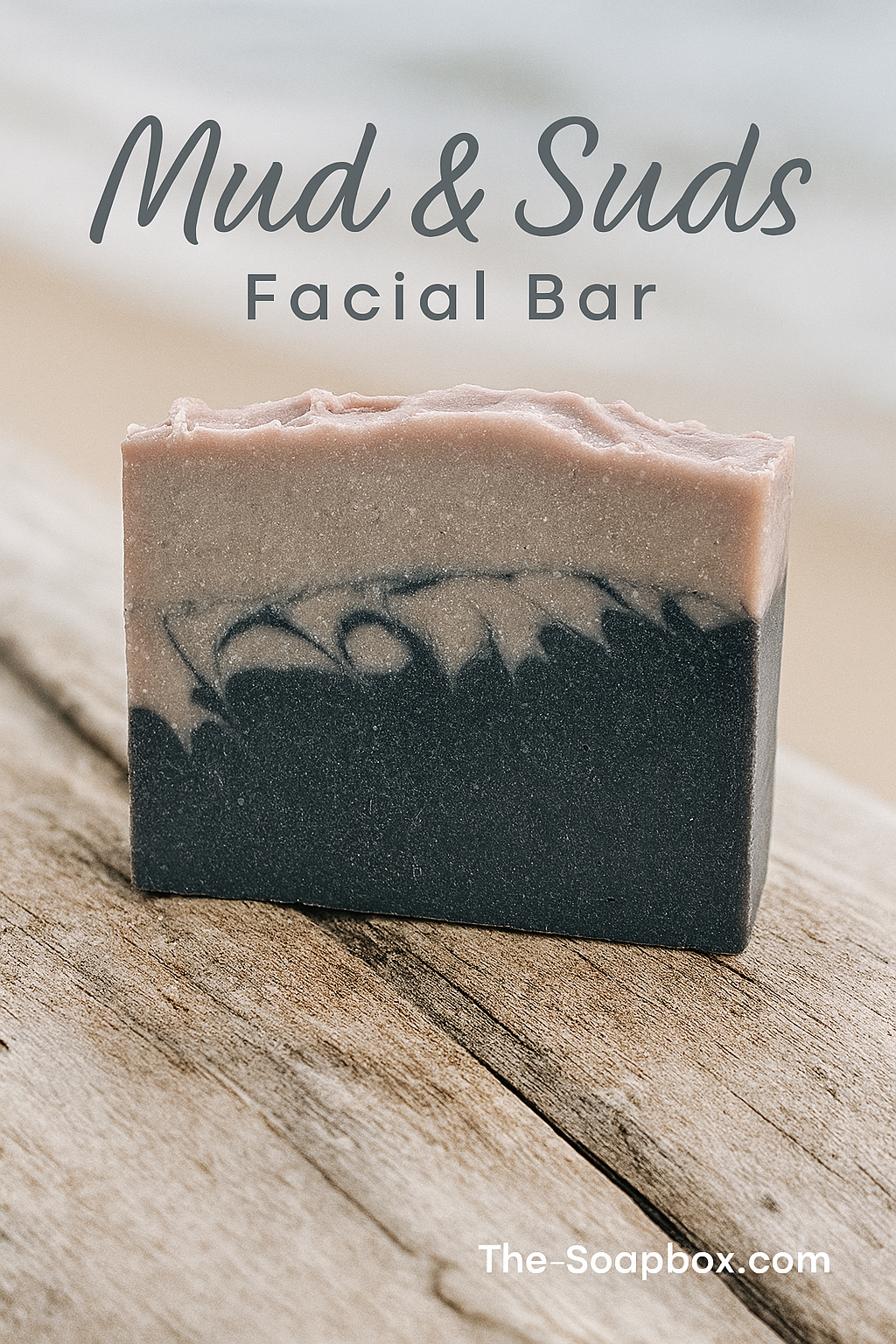 Mud & Suds Facial Bar